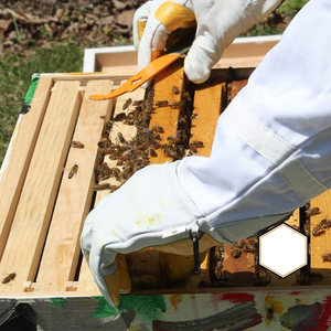 Gants de protection pour apiculteur avec manchette ventilée en maille pour les activités de plein air, gants anti-piqûres pour apiculteurs - Product Image 6