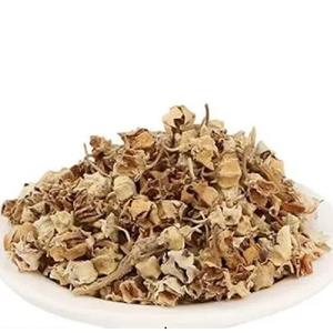 Extrait de plante naturelle Calotropis procera à bas prix - Product Image 2