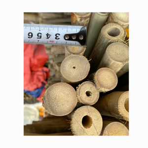 Estacas de caña de bambú de calidad de exportación para valla, Panel de jardín, respetuoso con el medio ambiente, fuerte, duradero, poste de bambú Natural a prueba de agua - Product Image 1