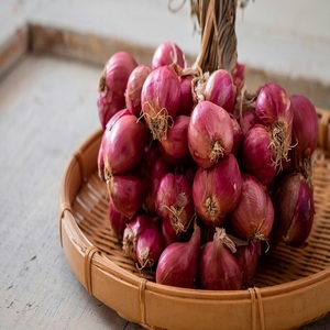 Cebolla roja fresca de entrega rápida con buen precio para la exportación de cebolla con precio barato para la venta de vegetales frescos orgánicos de calidad premium - Product Image 1