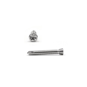 Implantes Quirúrgicos Ortopédicos, Tornillo de Bloqueo de 2.0 mm, Implante de Tornillo Ortopédico Veterinario de Acero Inoxidable, Alta Calidad, Peso Ligero - Product Image 3