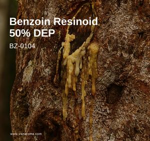 Résine de benjoin 50% DEP, huile aromatique liquide (BZ-0104) Van Aroma - Product Image 1