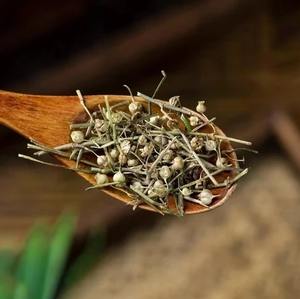 ชาสมุนไพรเฮดิโอติส ดิฟฟูซ่า วิลด์ แบบแห้ง เกรดอาหาร และการใช้ในการแปรรูปแบบดั้งเดิม - Product Image 2