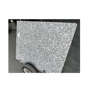 Superficie pulida de losa de granito flameado negro de moneda de calidad de diseño moderno para revestimiento de chimenea y diseño de interiores - Product Image 1