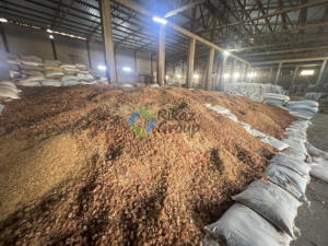 Additifs alimentaires naturels de gomme arabique d'acacia de haute qualité et traitement cru inoffensif sûr d'épaississant polyvalent pour l'agriculture - Product Image 5