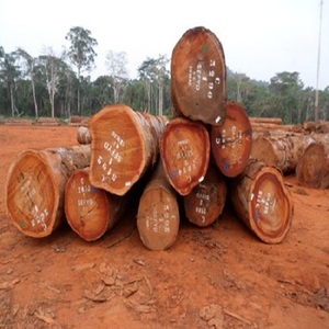 Troncos de Iroko para exportación a Asia Proveedor de madera de Iroko - Product Image 1