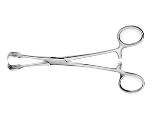 Fábrica Directa de Pinzas para Tejidos Órganicos, Acero Inoxidable Alemán Manual, Uso Hospitalario, Marca Privada, Hecho en Pakistán - Product Image 1