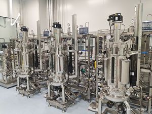 Bailun 200Ltypes deculture cellulaire de mammifères bioréactorésynthèse des lipides bioréacteur BLBIO-SCUC - Product Image 2