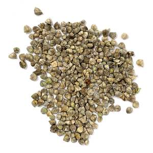 เมล็ดผักโขมแบบแม่นยำสำหรับปลูกผัก - Product Image 2