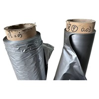 Film de paillis plastique bicolore (noir-argent, noir-blanc) prix agricole Film de paillis plastique noir agricole