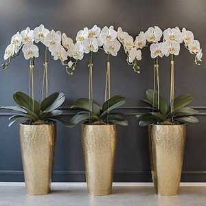 Decorative Metal Planter With Artistic Embossed Design Ideal For Event Decoration And Stylish Home <b>Garden</b> Displays - Product Image 6