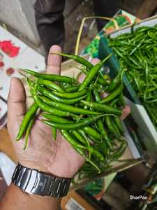 Pimientos de chile verde Frescos/congelados de alta calidad, especias de hierbas picantes de Vietnam, Exportación lista en trozos - Product Image 2
