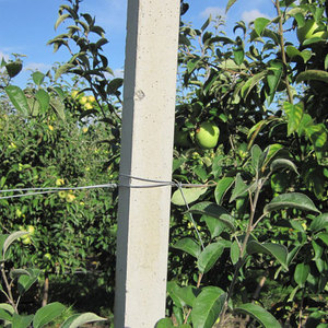 Colonnes en béton de conception <span class=keywords><strong>nouvelle</strong></span> | Machine à fabriquer des piliers - Product Image 5