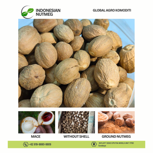 Poivre de Gingembre Indonésien en Gros Séché, Traité AD, Qualité ABCD - Product Image 2