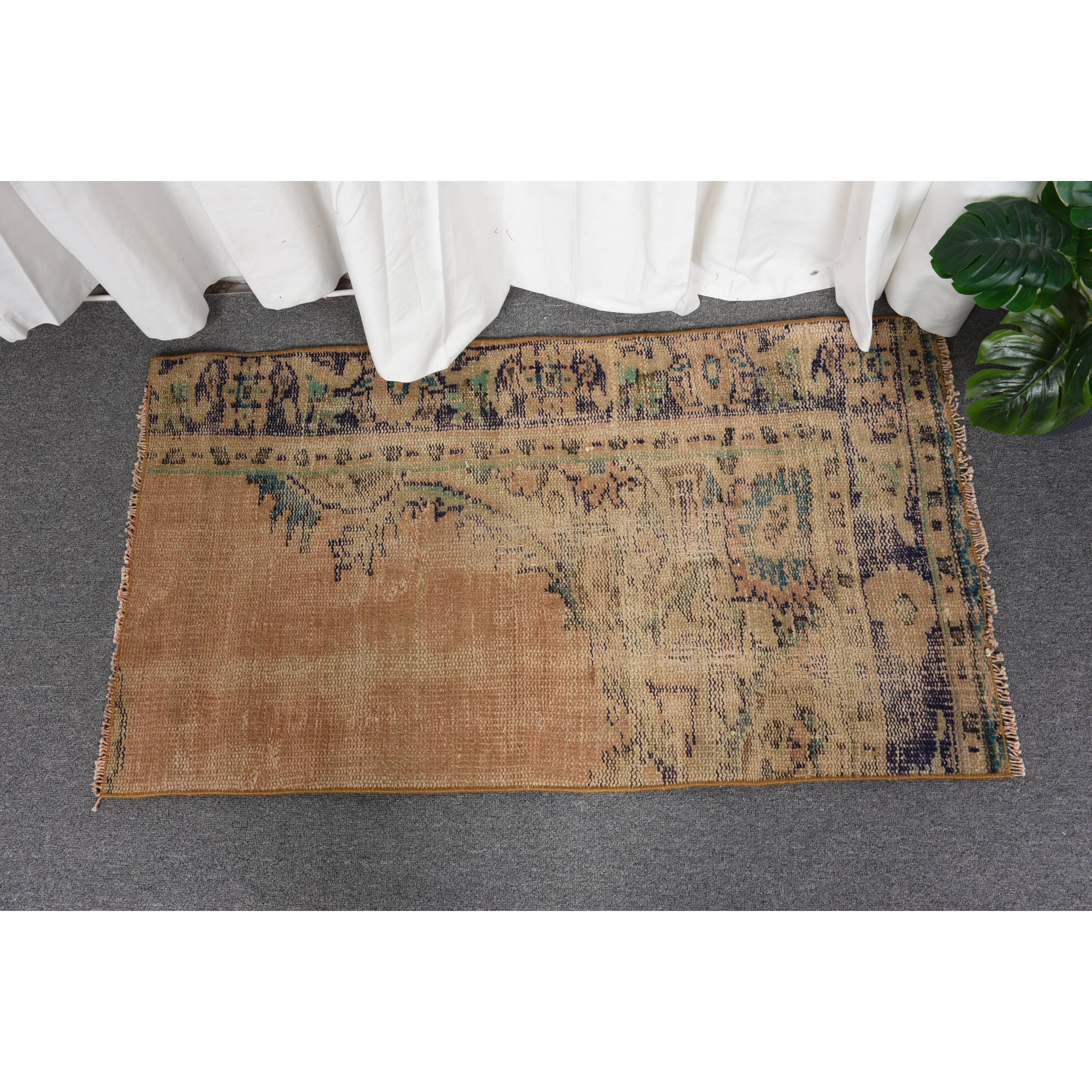 สีน้ำตาล