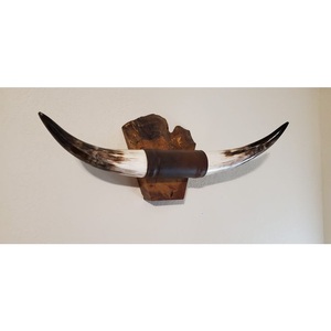 ของตกแต่งผนังทำจากเขาควายแบบวินเทจ คู่เขาควายอินเดีย - Product Image 4