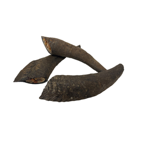 Shofar de Cuerno de Cabra de Diferentes Tamaños y Color Natural, Artesanía en Cuerno de Cabra Real - Product Image 3