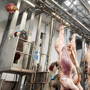 Équipement complet pour lignes d'abattage de bovins, machine d'abattage de vaches, machinerie de boucherie de taureaux, équipement de transformation de la <span class=keywords><strong>viande</strong></span> de bœuf, dispositif ISO 9001 - Product Image 3