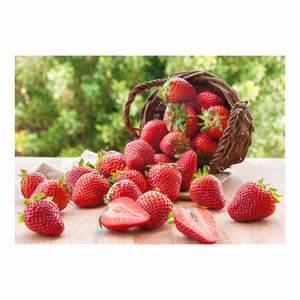 Fresas cultivadas en granjas ecológicas, fruta fresca, dulce y aromática, calidad premium, venta al por mayor, exportación a granel - Product Image 1
