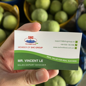 Pomelo de piel verde fresca de granja de Vietnam dulce jugoso Grado de exportación de cítricos disponible en opciones de embalaje flexible - Product Image 1