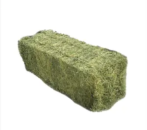 Hochwertiges Obstgarten-Gras-Hahn für Tierenfuttermaterial Alfalfa/Alfalfa-Hahn/Lucerne-Balen