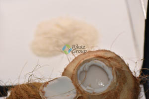 Poudre de noix de coco pure produit agricole de qualité supérieure - Product Image 5