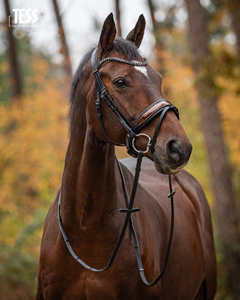 Bride Snaffle - Product Image 2