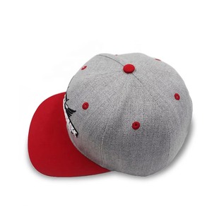 Gorra Deportiva de Alta Calidad, Estilo Oxford Dobby, Visera Plana, Estilo Hip Hop, Ropa Urbana, Logotipo Bordado Personalizado, 100% Algodón, Venta al Por Mayor OEM - Product Image 3