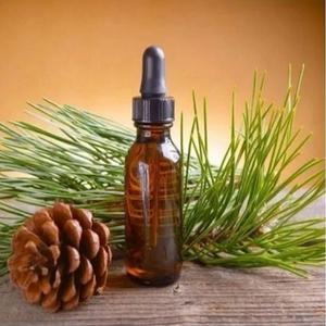 Qualité assurée huile essentielle de pin pour la croissance des cheveux de fournisseur de l'Inde à bas prix huile essentielle de pin Mentha - Product Image 1