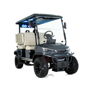 Carritos de golf de lujo personalizables de bajo costo con 2, 4, 6 u 8 asientos, suspensión avanzada y almacenamiento adicional para hoteles y comunidades. - Product Image 1
