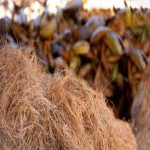 Fibre de coco de qualité exportée, fibre de coco forte et propre, parfaite pour les grossistes mondiaux et les acheteurs industriels - Product Image 4