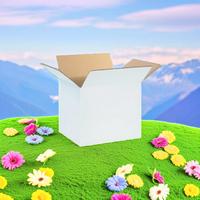 Boîtes en carton rigide blanc écologiques en gros, papier kraft, revêtement UV, laminage mat - Solution d'emballage robuste pour cadeaux et artisanat