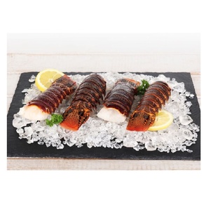 Langostas Tristán Frescas Congeladas de Origen Sostenible, Tamaño Grande, Perfectas para Platos Gourmet de Mariscos - Product Image 1