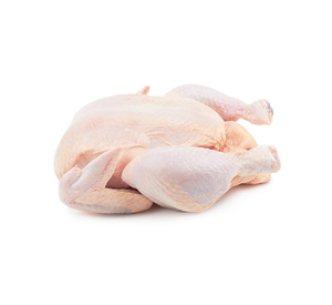 หัวใจไก่สด/ไก่แช่แข็ง/Gizzards/ /ส่วนอื่นๆ