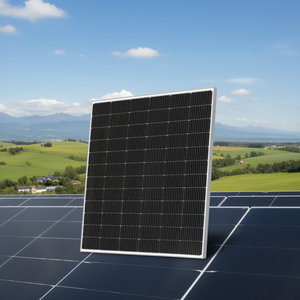 แผงโซลาร์เซลล์โพลีคราวน์ โซลาร์เทค รุ่น NS-660MH-120 แบบ N-Type Bifacial Monocrystalline พร้อมกระจกฝาครอบด้านหน้าที่ได้รับการรับรองมาตรฐาน TUV สำหรับงานอุตสาหกรรม - Product Image 3