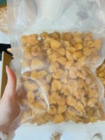 Vietnam Gedroogde Longan Fruit Premium Kwaliteit Bulk Groothandel Export Leverancier