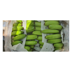 Envío a granel de plátano verde sin madurar fresco entero para cocinar procesamiento maduración embalado para uso de exportación y compradores mayoristas - Product Image 3