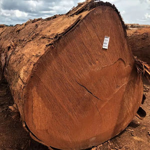 Bûches Balau rouges pour scieries Bûches Balau pour poutres Bûches Balau jaunes pour poutres - Product Image 1