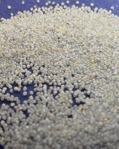 Abrasifs série rotative, médias de sablage avec différentes tailles de mailles, y compris 6-8 SPC 8-10 SPC 500 SPC 16/18 60/80 Mesh - Product Image 5