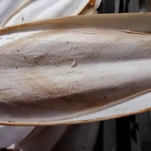 Os de seiche propre pour la nutrition animale - Product Image 3