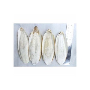 Bulk Lightweight Frozen <b>Cuttlefish</b> Bones for Bird Care - Product Image 2