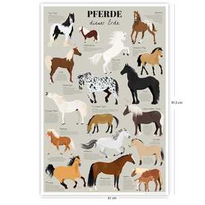 Affiche de style moderne « Chevaux de la Terre » mettant en scène les races de chevaux les plus célèbres pour une utilisation murale - Product Image 4