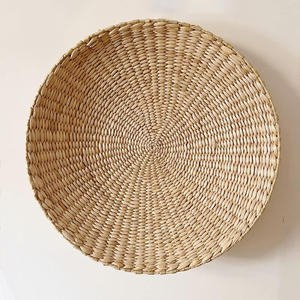 Arte Natural para Colgar en la Pared, Decoración de Jacinto de Agua, Accesorios de Arte al por Mayor para Decoración del Hogar - Product Image 1