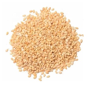 Vente en gros de graines de sésame crues naturelles en vrac graines de sésame décortiquées blanches pures - Product Image 6
