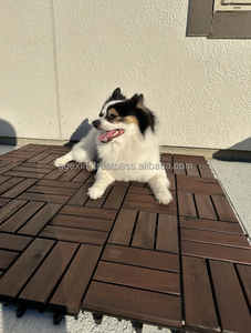 Suelo de Madera de Acacia Vietnamita, Encastrable, Antideslizante, Impermeable, Acabado Mate Aceitado Contemporáneo, Solución Total para Proyectos de Exterior - Product Image 3