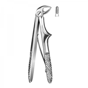 ENGLISH PATTERN FORCEPS - Product Image 2