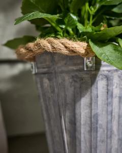 กระถางปลูกต้นไม้โลหะขนาดกลางขายดีที่สุดพร้อมหูจับ - Product Image 3