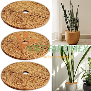 Alfombrilla redonda de fibra de coco, mantillo de coco para planta de disco, tapete de mantillo de fibra de coco de VIETNAM - Product Image 2