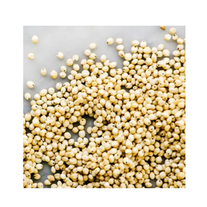 เมล็ดข้าวข้าวฟ่างมิโลสีขาวเมล็ดพืช - Product Image 4