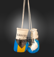 Venta al por mayor OEM personalizado Mini guantes de boxeo con diseño de Bandera de País PU cuero coche colgante llavero compras Bosnia Grecia Chile